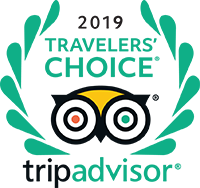 trip advisor logo 2019 logo